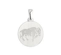 Attraktiver Anhänger Sternzeichen - Stier 21.04 - 20.05, Silber 925, Durchmesser ca. 16 mm, Höhe ca. 24 mm