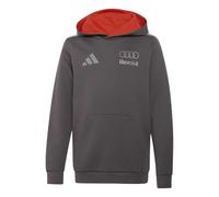 Audi Kinder Kapuzenpullover Formula One Team Violet 13/14 Jahre alt