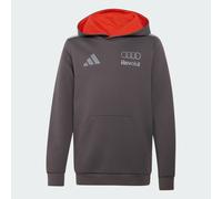 AUDI REVOLUT F1 TEAM DRIVER YOUTH HOODIE Grey Strata 164
