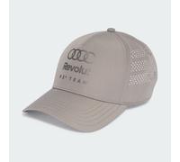 AUDI REVOLUT F1 TEAM MECHANICS TRUCKER KAPPE Dove Grey XS/S