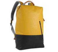 aunts & uncles Hamamatsu 10201 arrowwood