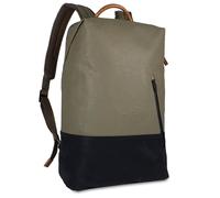 aunts & uncles Hamamatsu 10201 fallen rock