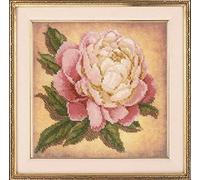 Auslaufmodell Riolis Kreuzstich-Set "Pfingstrose", Zählmuster