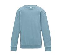 AWDis Jungen Kids Sweatshirt, Blue (Sky Blue), Large