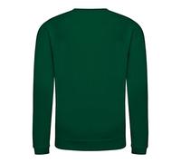 AWDis Jungen Kids Sweatshirt, grün (Bottle Green), Medium