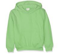 AWDis Jungen Kinder Kapuzenpullover, Lime, 11 Jahre