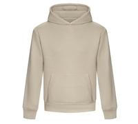 AWDis - Signature Kapuzenpullover für Herren/Damen Unisex (XL) (Steingrau)
