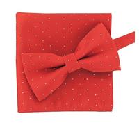 axy Fliege mit Einstecktuch als Set, bereits vorgebunden, Herren Fliege aus Seide im Geschenkbox (Rot Weiß Gepunktet)