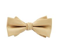 axy Herren Fliege Schleife, bereits gebunden, Konfirmation verstellbar Hochzeitsfarbe FLI4B (Beige)