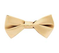 axy Hochwertige Herren Fliege Schleife bereits gebunden Konfirmation verstellbar Hochzeit Anzug Smoking FLI4A (Beige)