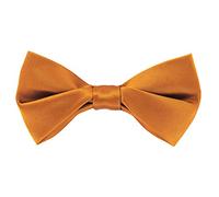 axy Hochwertige Herren Fliege Schleife bereits gebunden Konfirmation verstellbar Hochzeit Anzug Smoking FLI4A (Apricot)