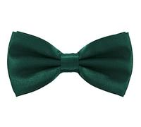 axy Hochwertige Herren Fliege Schleife Konfirmation verstellbar in verschiedenen Farben FLI1 (Grün)