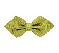 axy Kinderfliege Fliege Jungen Kinder Schleife bereits gebunden verstellbar 12 x 5 cm KFLI4 (Grüngelb)