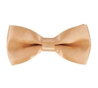 axy Kinderfliege, Jungen Fliege, bereits gebunden, Konfirmation verstellbar in verschiedenen Farben KFLI1 (Beige)