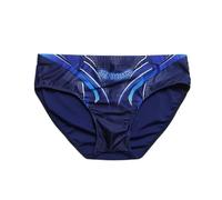 AYWTIUN Badeshorts Herren Herren Bademode Sexy Badeanzug Strand Schwimmbad Fitnessstudio Schnelltrocknende Badehose Shorts Atmungsaktive Sport Surfunterwäsche(L)