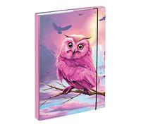 Baagl Heftbox für Schulranzen A4 - Sammelmappe für Kinder mit Gummiband und Innenklappen - Heftmappe, Sammelbox mit Gummizug für Mädchen (Eule)