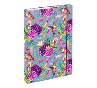 Baagl Heftbox für Schulranzen A4 - Sammelmappe für Kinder mit Gummiband und Innenklappen - Heftmappe, Sammelbox mit Gummizug für Mädchen (Kolibri)