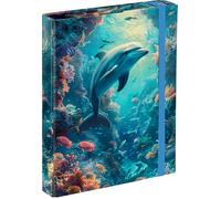 Baagl Heftbox für Schulranzen (A5 Hefte) - Heftmappe für Kinder mit Gummiband und Innenklappen - Sammelmappe, Sammelbox mit Gummizug für Mädchen 23x16cm (Delfin)