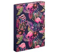 Baagl Heftbox für Schulranzen - Heftmappe A4 für Kinder mit Gummiband und Innenklappen - Sammelmappe, Sammelbox mit Gummizug für Jungen (Flamingo)