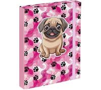 Baagl Heftbox für Schulranzen - Heftmappe A5 für Kinder mit Gummiband und Innenklappen - Sammelmappe, Sammelbox mit Gummizug für Mädchen (Pfötchen)