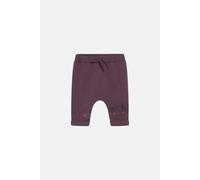 Babyhose Go in plum wine von Hust & Claire weinrot 62 (3 Monate)