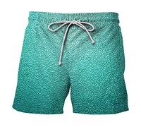 Badehose Herren， Musterdruck Elastische Taille Tunnelzug Kurze Hosen Mit Taschen Schnelltrocknend Strandhose Basic Bermuda Shorts Boardshorts Swimming Shorts Sports Shorts