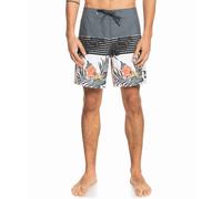 Badehose QUIKSILVER - Everyday Division 17 Urban Chic (KRN6) Größe: 30