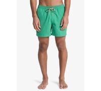 Quiksilver Everyday Volley 15 Herren-Badehose, Grün