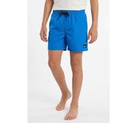 Badeshorts QUIKSILVER "EVERYDAY VOLLEY YTH 14", Kinder, Gr. 12 (146/152), N-Gr, nebulas blau, Web, Baumwolle, Polyester, unifarben, Badehosen Badeshorts, für Kinder und Jugendliche, bequeme Passform (