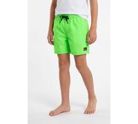 Badeshorts QUIKSILVER "EVERYDAY VOLLEY YTH 14", Kinder, Gr. 14 (158/164), N-Gr, grün (grün gecko), Web, Baumwolle, Polyester, unifarben, Badehosen Badeshorts, für Kinder und Jugendliche, unifarbenes D