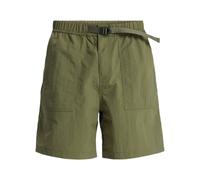 Badeshorts QUIKSILVER "Run Ashore Amphibian 18", Herren, Gr. M, US-Größen, grün (grape leaf), Obermaterial: 100% Nylon., Badehosen Badeshorts (33269327-M) grape leaf