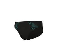 Arena Poseidonia Swim Briefs Herren schwarz 6