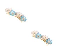 Baluue 2stücke Alloy Daisy Flower Spring Hairpin Elegante Haarklammer Für Mädchen Und Frauen Für Partys Festivals Und Alltag Stilvollem Blau