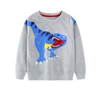 Baogaier Jungen Sweatshirts Langarm Pullover Kinder Shirts Baumwolle Warm Winter Frühling Herbst Oberteile Sport Langarmshirt Activewear Tops ohne Kapuze Gr.110-116,6T, Grau Dinosaurier