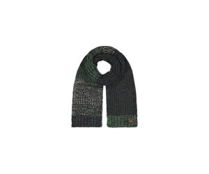 BARTS Akotan Scarf Herren | green |