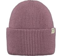 BARTS Herren Haveno Beanie (4551) ONE SIZE 401