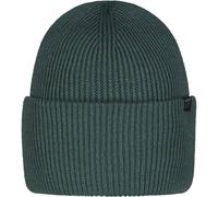 BARTS Herren Haveno Beanie (4551) ONE SIZE cedar 161