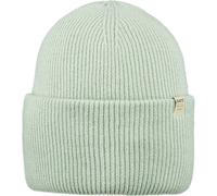 BARTS Herren Haveno Beanie (4551) ONE SIZE light pistache 151