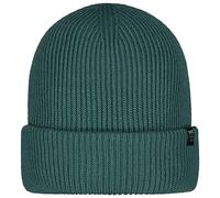 Barts Kinabalu Beanie Wintermütze (one Size, Cedar)