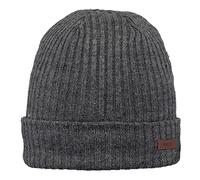 Barts Wilbert Turnup Beanie Wintermütze