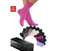 Basicsocken GO IN, Damen, Gr. 35-38, bunt (2x braun, 2x beige, 2x lila, 1x beere, 1x ruby, 1x khaki, 11x schwarz), Baumwolle, Baumwollmischung, Elasthan, Polyamid, unifarben, elastisch, Socken, in der