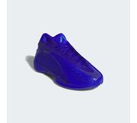 Basketballschuh ADIDAS PERFORMANCE, Herren, Gr. 41, lucid blau, lucid ray blau, lucid blau, Synthetik, Textil, Schuhe (37663540-41) lucid blau, lucid ray blau, lucid blau