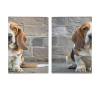 Basset Hound Reisepasshülle, ultradünn, PU-Leder, Reisedokumenten-Organizer, kompakt, Premium, internationaler US-Pass, Schutzhülle für Damen und Herren