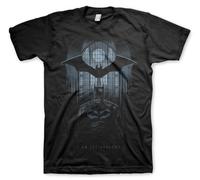 BATMAN Offizielles Lizenzprodukt I Am The Shadows Herren T-Shirt (Schwarz), XX-Large