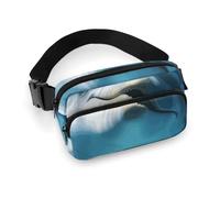 Bauchtasche für Damen und Herren, Gürteltasche mit verstellbarem Riemen, Dampflokomotive, Zug, Hüfttasche für den Alltag, Delfin mit einem Lächeln, 20x13cm