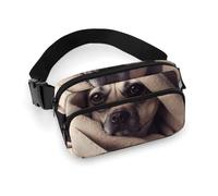 Bauchtasche für Damen und Herren, Gürteltasche mit verstellbarem Riemen, Esel auf grüner Wiese, Hüfttasche für den Alltag, Hund in einer Decke, 20x13cm