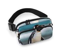 Bauchtasche für Damen und Herren, Gürteltasche mit verstellbarem Riemen, Galaxie, Tier, Libelle, Hüfttasche für den Alltag, Antarktis-Tier, 20x13cm