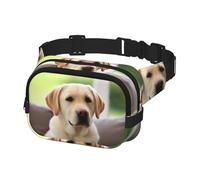 Bauchtasche für Damen und Herren, Gürteltasche, niedlicher Labrador-Hund, mit verstellbaren Trägern, Brusttasche, Reise-Umhängetasche, Schwarz, Einheitsgröße, Schwarz , Einheitsgröße