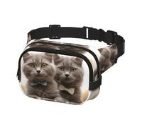 Bauchtasche für Damen und Herren, Umhängetasche, lustige Katzen, Gürteltasche mit verstellbarem Riemen, Hüfttasche