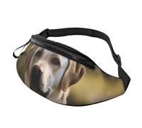 Bauchtasche für Herren und Damen, Crossbody-Hüfttasche, Labrador-Gürteltasche mit verstellbarem Riemen, Hüfttasche, Schwarz, Einheitsgröße, Schwarz , Einheitsgröße